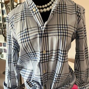 Banana Republic Blue and White Plaid Button-Down Shirt